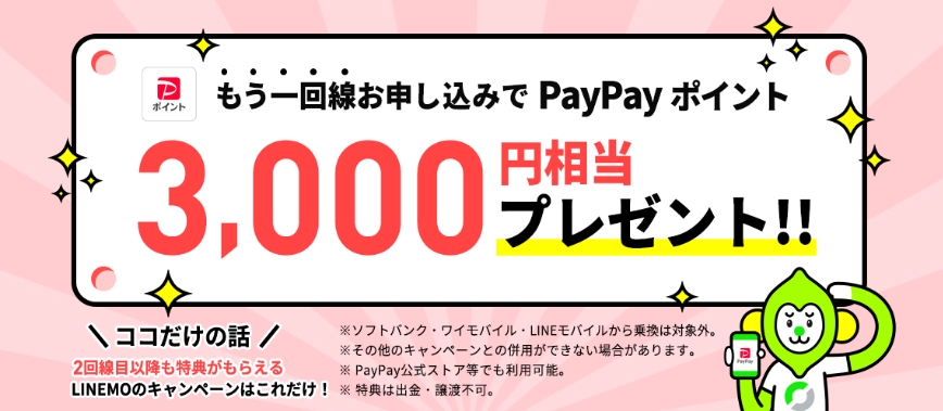 追加申込でPayPayポイント3,000円相当プレゼントキャンペーン_202402