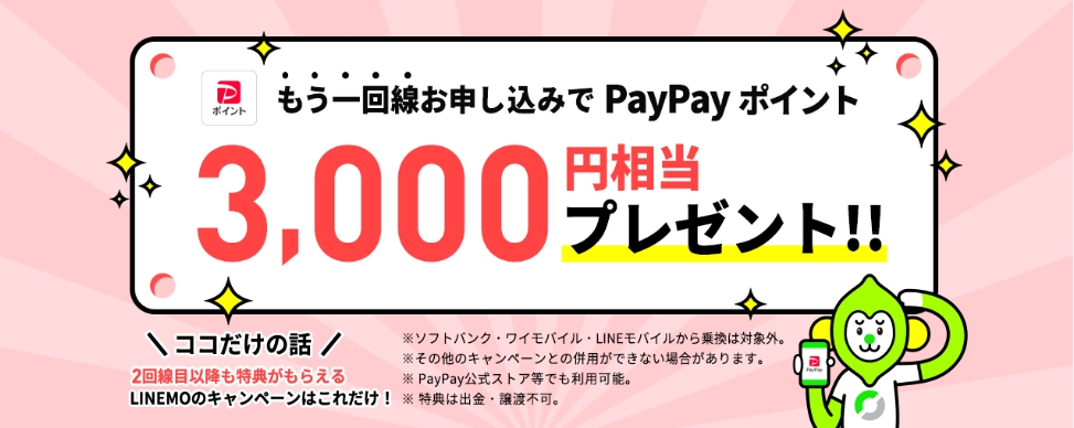追加申込でPayPayポイント最大3,000円相当プレゼントキャンペーン
