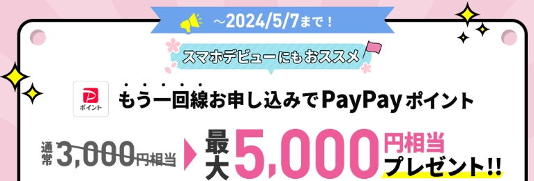 【57まで増額中】追加申込でPayPayポイント最大5,000円相当プレゼントキャンペーン