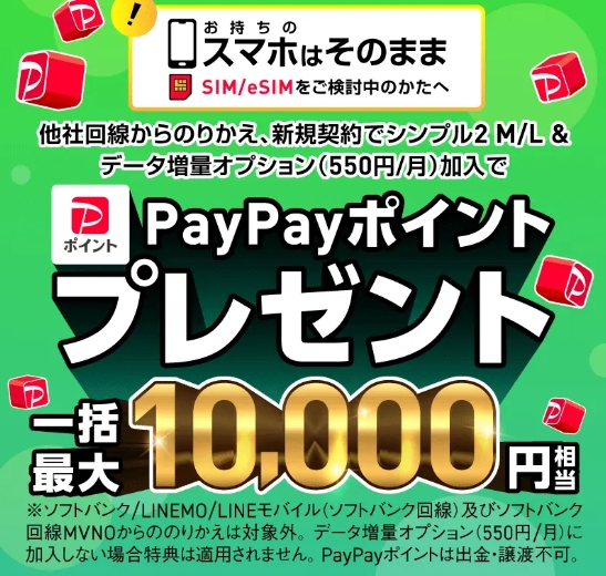 PayPayポイントプレゼント一括最大10,000円相当キャンペーン