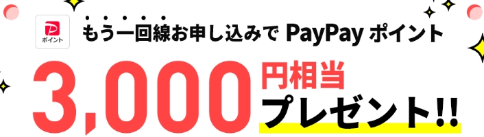 追加申込でPayPayポイント最大3,000円相当プレゼントキャンペーン202405