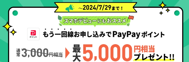 【729まで増額中】追加申込でPayPayポイント最大5,000円相当プレゼントキャンペーン